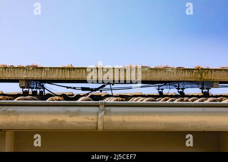 Solar modules of a photovoltaic system on a roof with the wiring underneath Stock Photo
