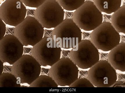 Abstract background. frame geometry. Egg packaging. Paper tray for domestic eggs. Beige and grey. Minimalism. Paper packaging egg carton Stock Photo