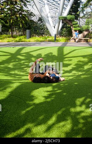 18.03.2020, Singapore, Republic of Singapore, Asia - A young couple lies on the artificial turf of the Foggy Bowls in Canopy Park, a playground surrounded by pine trees in the new Jewel Terminal, from whose hollows wisps of fog occasionally rise. Despite the rapid spread of the coronavirus, many people can still be seen seemingly going about their daily lives in a relaxed manner. [automated translation] Stock Photo