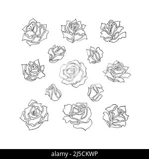 Illustrations of rose flowers and buds. Collection of floral elements in original sketchy, line art style Stock Vector