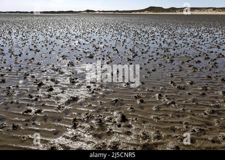 Norddorf, DEU, 16.06.2020 - Mudflats on the island of Amrum. In Schleswig-Holstein, numerous relaxations in the corona crisis have come into force. After the end of the lockdown, vacationers are allowed to travel to the North Frisian islands again. [automated translation] Stock Photo