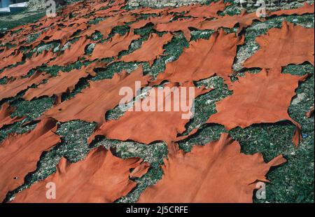 14.11.2010, Fes, Morocco, Africa - Tanned and dyed animal hides lie to dry in an open-air meadow before being processed into finished leather goods. [automated translation] Stock Photo