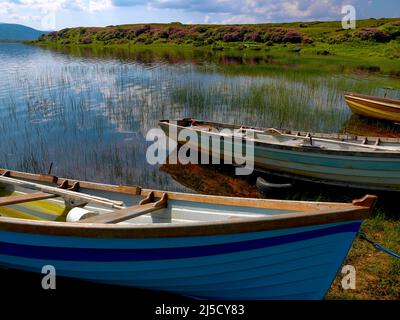 IRELAND-CARROWMORE LAKE - Le Magazine des Voyages de Pêche