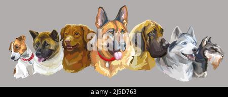 Set of colorful realistic vector portraits of different dogs breeds. Vector isolated illustration. Horizontal banner on gray background. For print, de Stock Vector