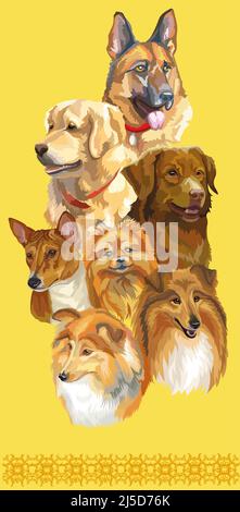 Set of colorful realistic vector portraits of different dogs breeds. Vector isolated illustration. Vertical poster on yellow background. For print, de Stock Vector