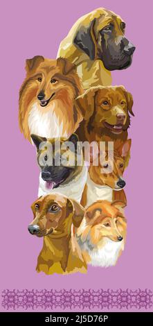 Set of colorful realistic vector portraits of different dogs breeds. Vector isolated illustration. Vertical poster on purple background. For print, de Stock Vector