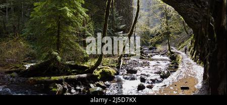 Multnomah Creek in northern Oregon flows over 5 miles through a beautiful forest and over scenic waterfalls. Stock Photo