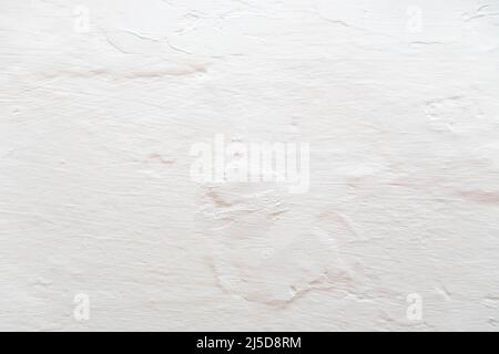 The background is in the form of gray rough plaster on the wall, whitewashed with chalk. Stock Photo
