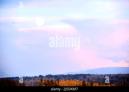 Daytime view of full moon through partially clouded skies toward base of Mount Baker, WA from White Rock, BC. Clouds reflect soft pink light of sunset Stock Photo