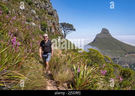 Western tourist hiking up Table Mountain with Signal Hill / Seinheuwel in the distance, Cape Town / Kaapstad, Western Cape Province, South Africa Stock Photo