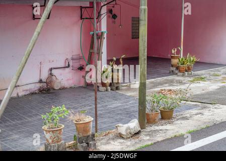 Daily life in Balik Pulau area, Southwest Penang Island District, Penang Island, Malaysia Stock Photo