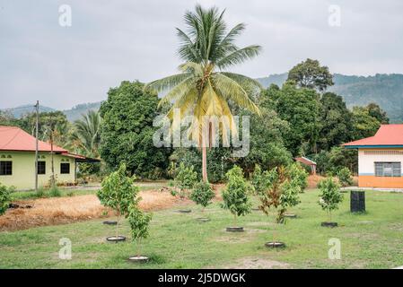 Daily life in Balik Pulau area, Southwest Penang Island District, Penang Island, Malaysia Stock Photo