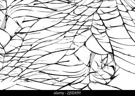 Cracked protective glass of a smartphone, cracked on a white background. Stock Photo
