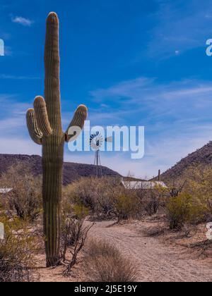 Bates Well Ranch, south windmill, Bates Well Road, Organ Pipe Cactus National Monument, Arizona. Stock Photo