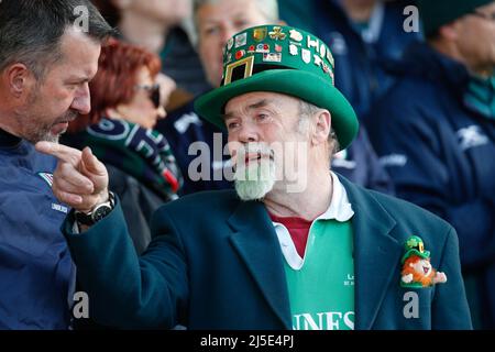 Newcastle, UK. 12th Mar, 2022. NEWCASTLE UPON TYNE, UK. APR 22ND An Irish supporter is pictured before the Gallagher Premiership match between Newcastle Falcons and London Irish at Kingston Park, Newcastle on Friday 22nd April 2022. (Credit: Chris Lishman | MI News) Credit: MI News & Sport /Alamy Live News Stock Photo