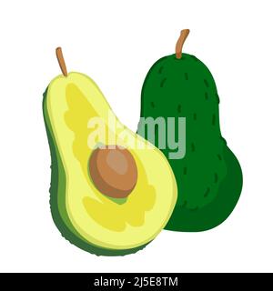 Avocado illustration. Green avocado, half cut and whole. Vector illustration of avocado vegetable in cartoon style isolated on white. Stock Vector