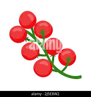 Cherry tomatoes on a branch vector illustration. Red tomato cherry in cartoon style isolated on white. Stock Vector