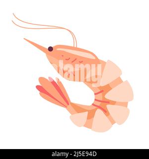 Shrimp vector illustration element isolated on white. Prawn in cartoon flat style element. Stock Vector