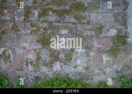 hiking through a wine cellar alley in Lower Austria Stock Photo