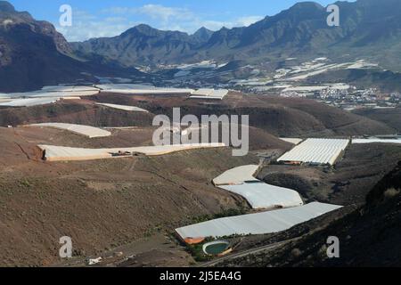 Blick ins Tal von Aldea de San Nicolás mit dem Tomatenanbau Stock Photo