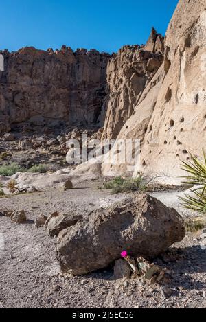 View of the Holes in the Wall approaching Banshee Canyon in Mojave National Preserve on the Rings Loop Trail. Stock Photo