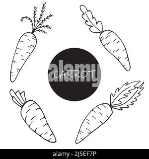 Set of hand drawn carrots in sketch doodle style for posters, recipe, culinary design, easter design, greeting cards. Isolated on white. Doodle vector Stock Vector