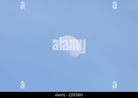 Gibbous moon in afternoon daylight. Stock Photo
