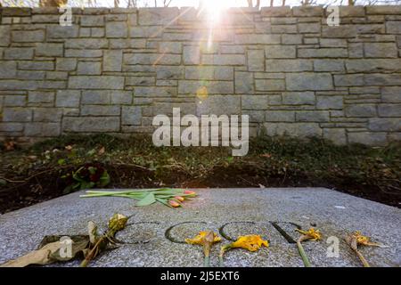 Hamburg, Germany. 22nd Apr, 2022. 22 April 2022, Hamburg: Flowers lie on a memorial stone with the Cyrillic characters CCCP at the Neuengamme Concentration Camp Memorial in Hamburg, which translate to 'Union of Soviet Socialist Republics.' The memorial was inaugurated in 1965 and is a protected monument. Twenty-two stones mark the nations of origin of the prisoners as they existed on the political map before the outbreak of World War II. Because of the Ukraine war, the Neuengamme Concentration Camp Memorial in Hamburg did not invite official representatives from Russia and Belarus to the 77th  Stock Photo