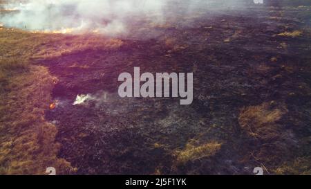 Aerial Drone View Over Burning dry grass and smoke in field. Flame and open fire Stock Photo