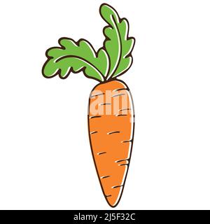 Hand drawn carrot in sketch cartoon style for posters, recipe, culinary design, easter design, greeting cards, print. Isolated on white. Colored Stock Vector