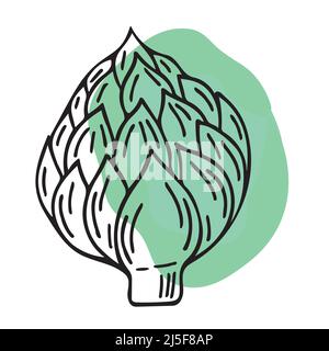 Vector Artishoke line doodle art illustration in sketch style for posters, recipe, culinary design, easter design, greeting cards. Isolated on white Stock Vector