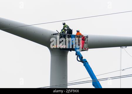 Bridgwater, Somerset, UK.  23rd April 2022.  Workmen on an aerial platform working on one of the new National Grid T-Pylons at Bridgwater in Somerset which have been built across the Somerset levels as part of the Hinkley Point C.  Picture Credit: Graham Hunt/Alamy Live News Stock Photo