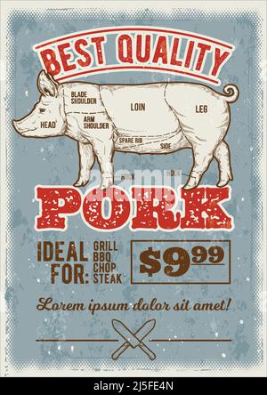 Swine Lettering Pig or swine in vintage engraving style Stock Vector Image & Art - Alamy