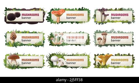 Set of delicious mushroom vector banners, headers. Stock Vector
