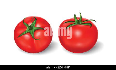 Vector illustration in realistic style, set of red fresh tomatoes with green stems isolated on white, top view, side view. Print, template, design ele Stock Vector