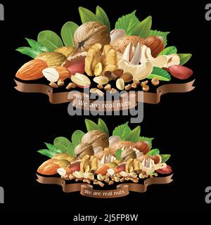 Vector illustration of a mix of different types of nuts on a black background Stock Vector