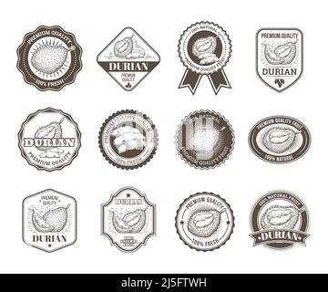 Set of black and white vector badges, stickers, high quality signs, real fresh natural product with durian fruit, in an engraving style isolated on wh Stock Vector