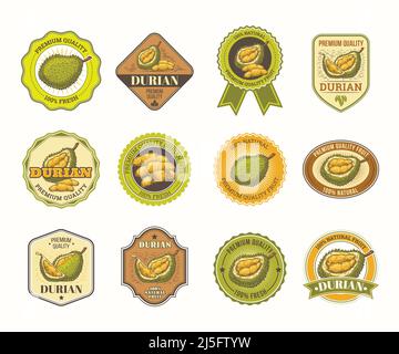 Set of color vintage vector badges, stickers, high quality signs, real fresh natural product with durian fruit, in an engraving style isolated on whit Stock Vector