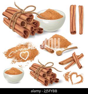 Set of cinnamon sticks and ground on powder cinnamon in ceramic bowl and scattered around hand drawn vector isolated on white background. Sweet spicy Stock Vector