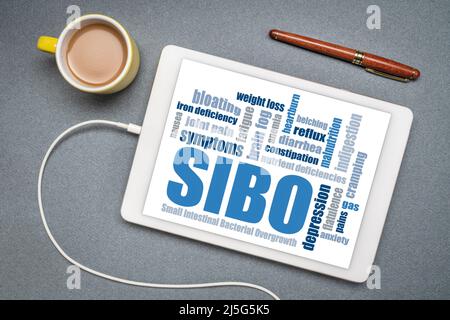 SIBO (small intestinal bacterial overgrowth) symptoms - word cloud on a digital tablet, flat lay with a cup of coffee, gut health concept Stock Photo