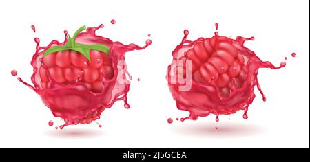 Vector 3d realistic ripe raspberries in splashing red juice. Sweet food with splashes, drops isolated on white background. Natural summer fruit, fores Stock Vector