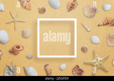 Square white paper frame on beach surrounded by sea shells. Creative composition with copy space in the middle Stock Photo