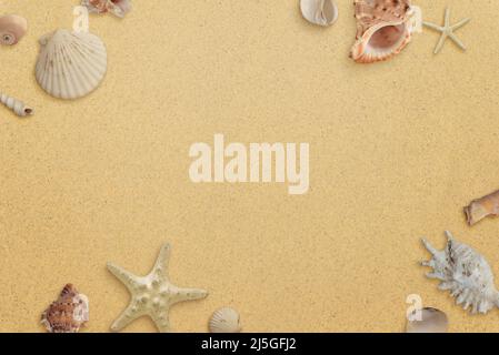 Flat lay minimal beach composition with shells on sand. Copy space in the middle. Top view Stock Photo