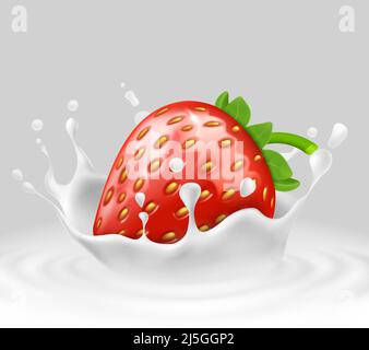 Vector 3d realistic ripe strawberry in splashing milk. Sweet food with spatter, drops in white liquid on gray background. Natural summer fruit. Mock u Stock Vector