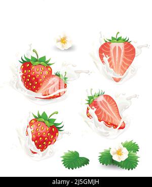 Set of vector whole and half strawberry with flowers, leaves and cream, milk or yogurt splash in a realistic style, isolated on a white background. De Stock Vector