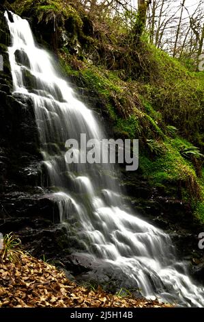 A view of a waterfall tumbling down a rock face in the Birks of Aberfeldy in highland Perthshire in Scotland. Stock Photo