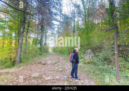 Roman way in Sant Pau de Segúries, Girona, Spain Stock Photo