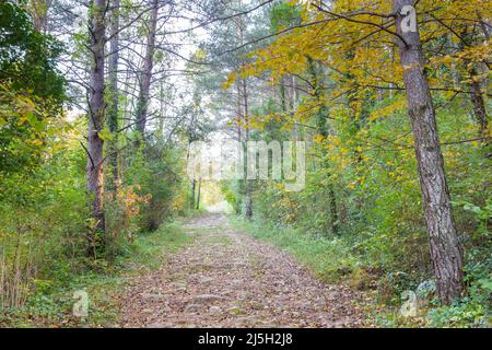 Roman way in Sant Pau de Segúries, Girona, Spain Stock Photo