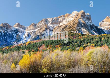 Betato forest in Piedrafita de Jaca and Partacua mountain range, Huesca, Spain Stock Photo