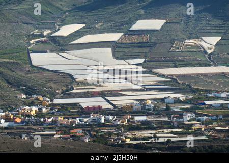 Blick ins Tal von Aldea de San Nicolás mit dem Tomatenanbau Stock Photo